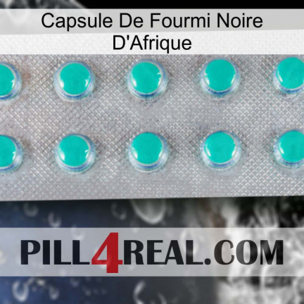 Africa Black Ant Capsule 28